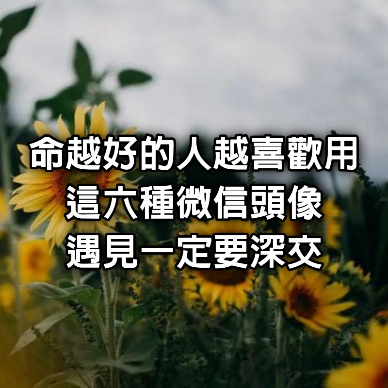 命越好的人,越喜歡用這6種微信頭像,遇見一定要深交