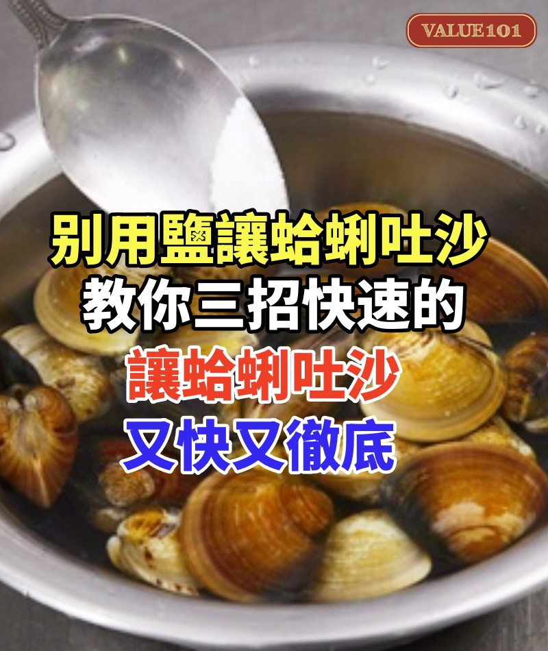 還在用鹽水讓蛤蜊吐沙?太慢了「老漁民教你三招快速的」讓蛤蜊吐沙又快又徹底
