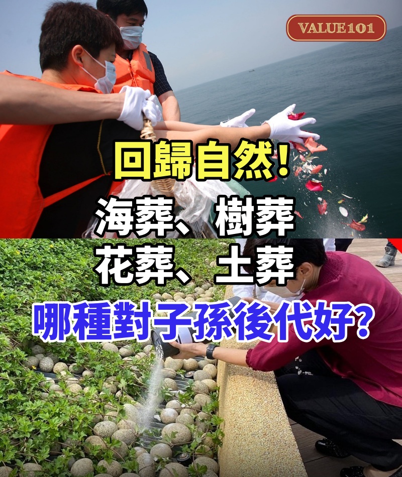 回歸自然!「海葬、樹葬、花葬、土葬」哪種對子孫後代好!內行解答了