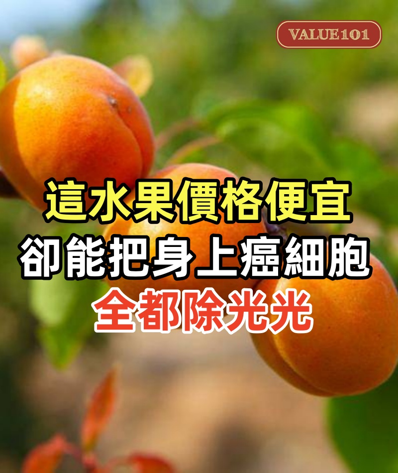 這水果價格便宜，卻能把身上癌細胞全都除光光！大腸癌、乳癌、卵巢癌都得靠它