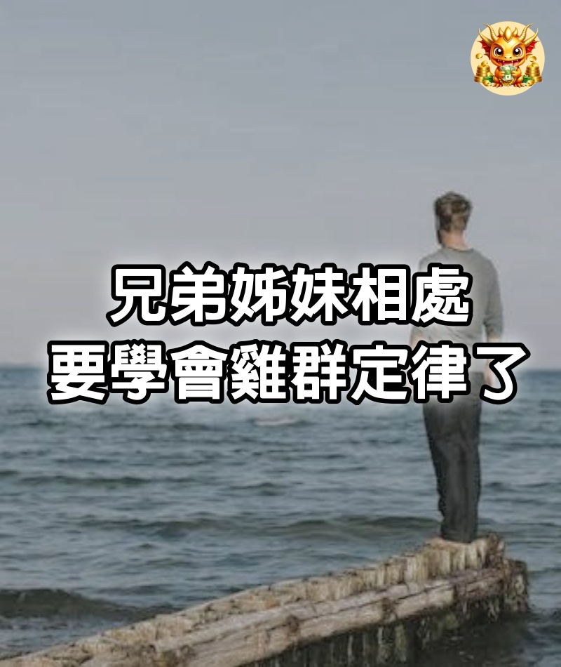 兄弟姊妹相處,要學會「雞群定律」了