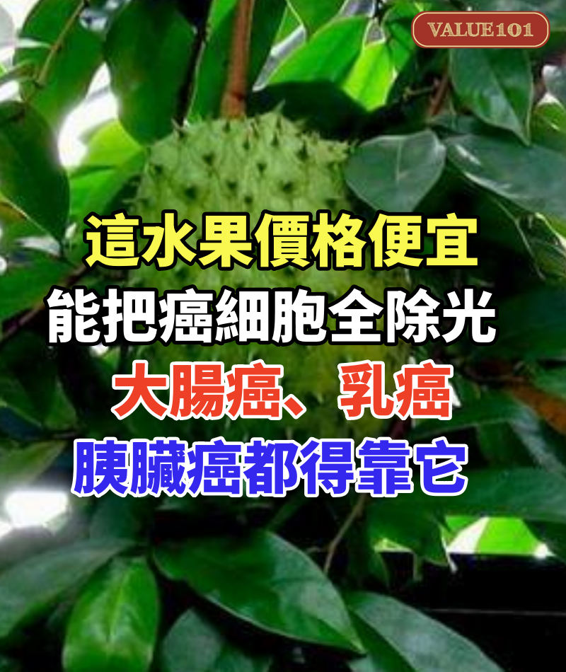 這水果價格便宜,卻能把身上癌細胞全都除光!大腸癌、乳癌、胰臟癌都得靠它