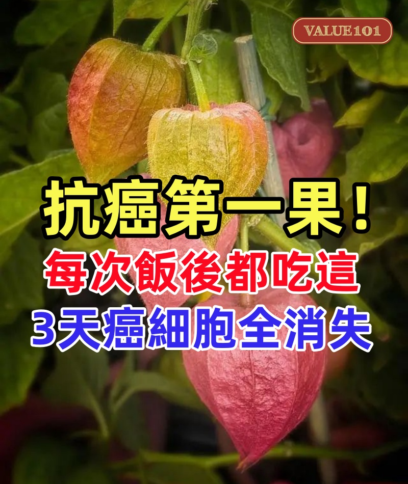 抗癌第一果！老人只剩30天壽命，每次飯後都吃這，3天癌細胞竟全消失！這種水果比化療厲害80倍，還能預防高血壓，軟化血管！可惜老人家都不知道