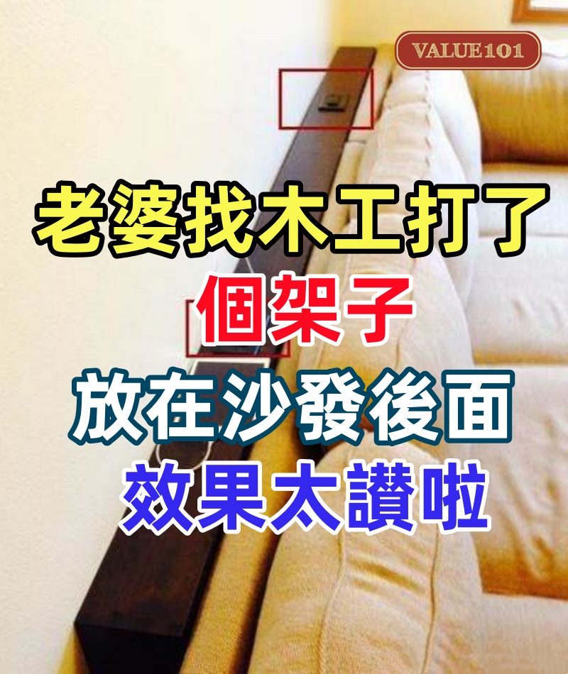 老婆找木工打了個架子，放在沙發後面，才用了一個月，家人都感嘆效果太讃啦