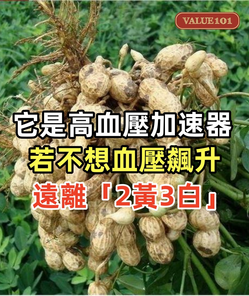 它是高血壓「加速器」!醫生建議:若不想血壓飆升,遠離「2黃3白」