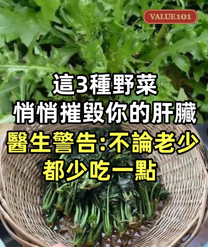 這3種野菜正悄悄摧毀你的肝臟!醫生警告:不論老少,都少吃一點