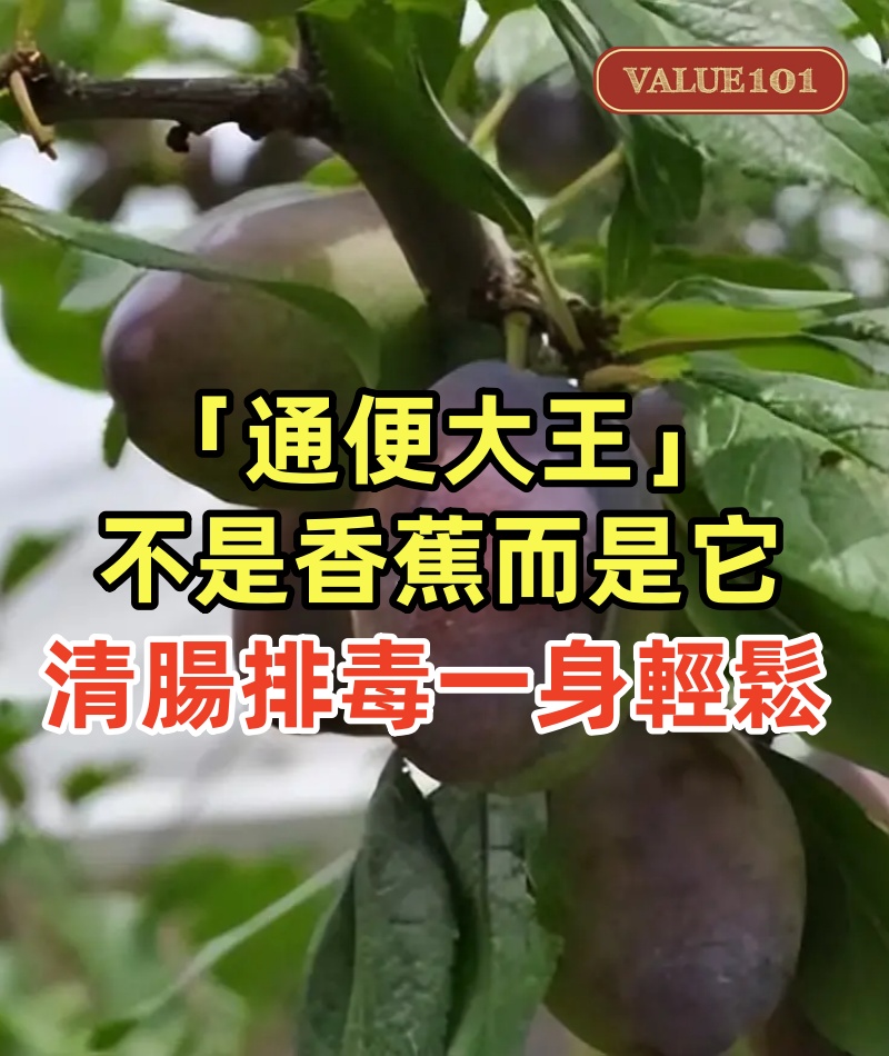 「通便大王」不是香蕉而是它，9月使勁吃，清腸排毒，一身輕鬆！ 